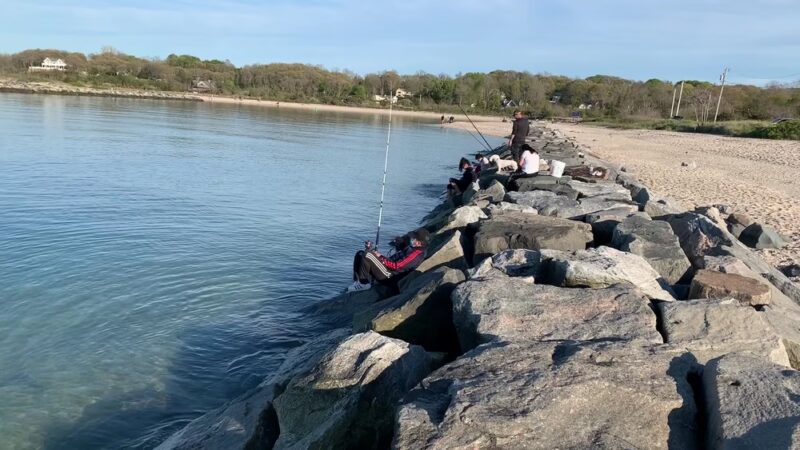 Mattituck Park District - Mattituck, NY