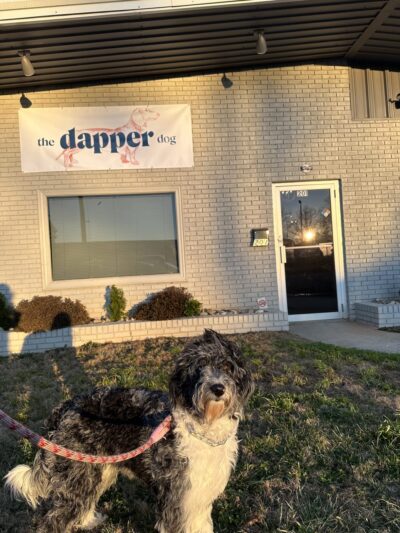 The Dapper Dog - Mauldin, SC