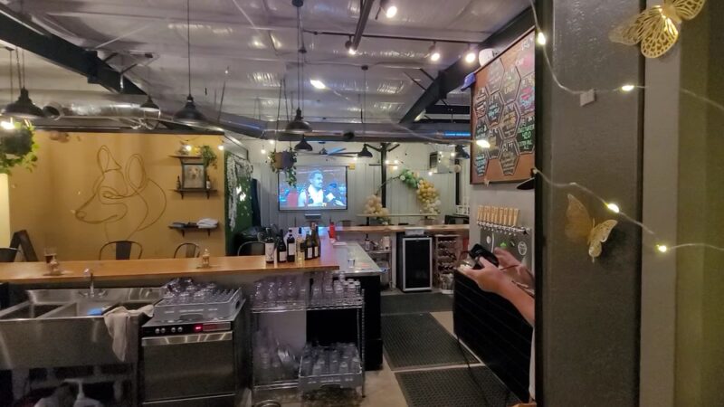 The Dapper Dog - Mauldin, SC