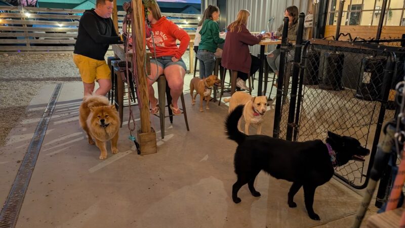 The Dapper Dog - Mauldin, SC