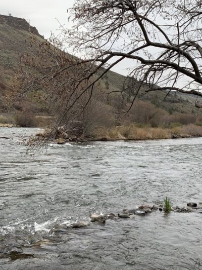 Oasis Camping Area - Maupin, OR
