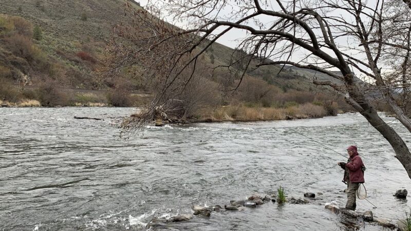 Oasis Camping Area - Maupin, OR