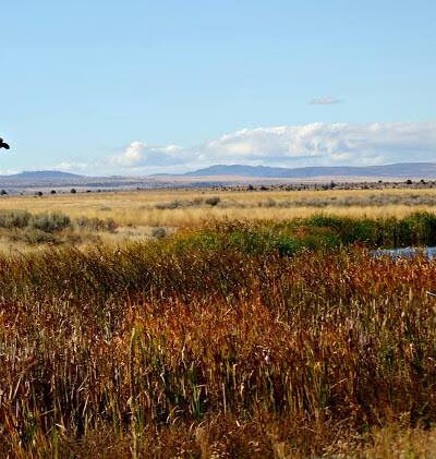 Sage Canyon Outfitters - Maupin, OR
