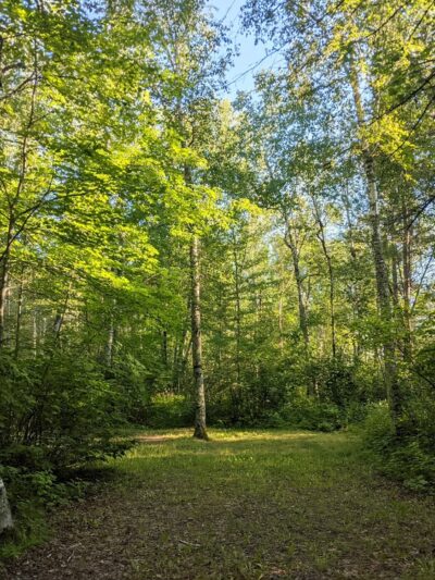 Noma Lake Campground - Max, MN