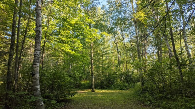 Noma Lake Campground - Max, MN