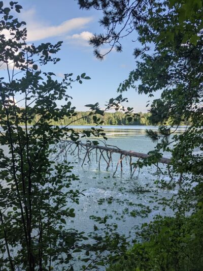 Noma Lake Campground - Max, MN