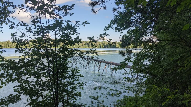 Noma Lake Campground - Max, MN