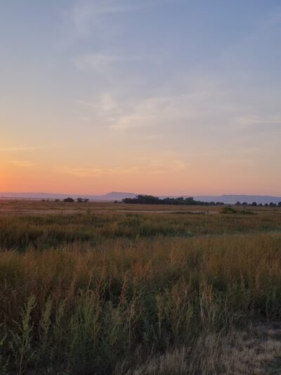 Maxwell National Wildlife Refuge - Maxwell, NM