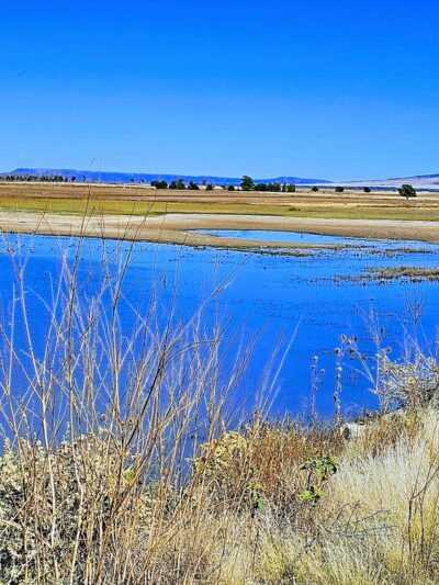 Maxwell National Wildlife Refuge - Maxwell, NM