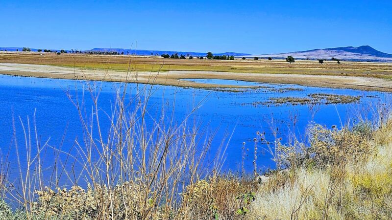 Maxwell National Wildlife Refuge - Maxwell, NM