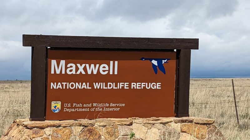 Maxwell National Wildlife Refuge - Maxwell, NM