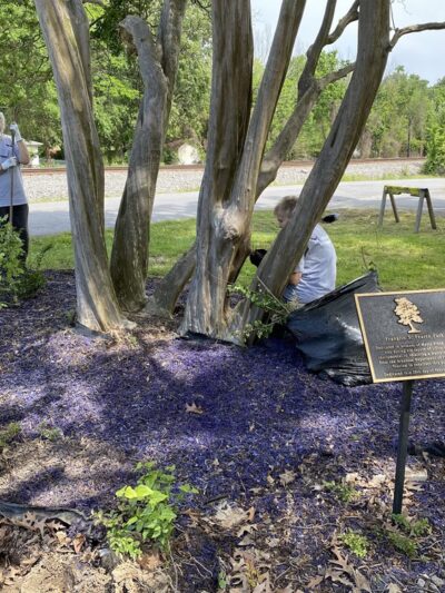 Frank Pearce Memorial Park - Mayflower, AR