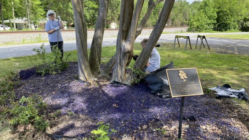 Frank Pearce Memorial Park - Mayflower, AR
