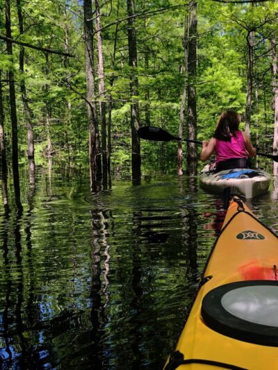 Grassy Lake Water Trail - Mayflower, AR