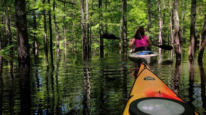 Grassy Lake Water Trail - Mayflower, AR
