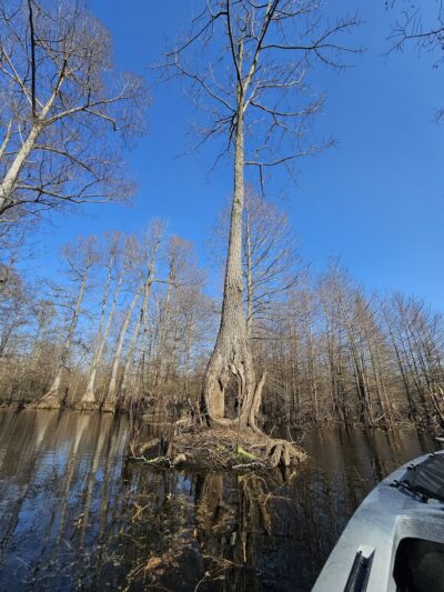 Grassy Lake Water Trail - Mayflower, AR
