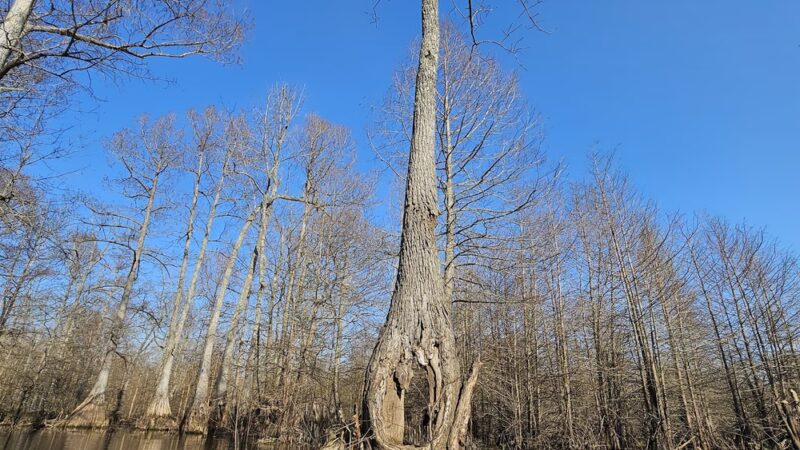 Grassy Lake Water Trail - Mayflower, AR