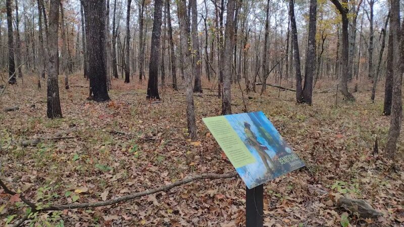 Kenny Vernon Nature Trail - Mayflower, AR