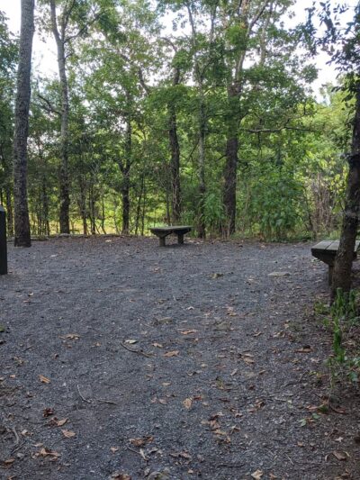 Kenny Vernon Nature Trail - Mayflower, AR