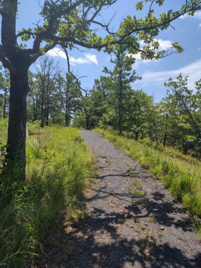 Kenny Vernon Nature Trail - Mayflower, AR