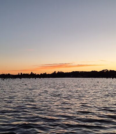 Mayflower Lakeside Park - Mayflower, AR