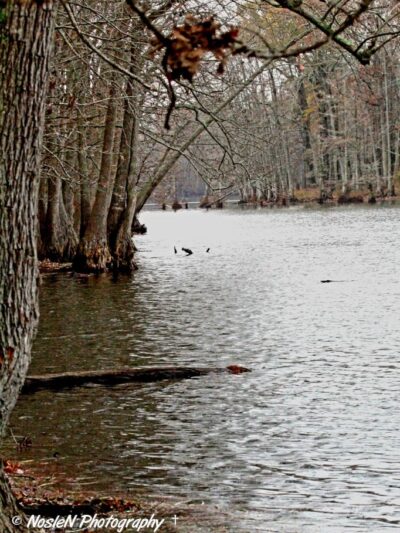 Mayflower Lakeside Park - Mayflower, AR