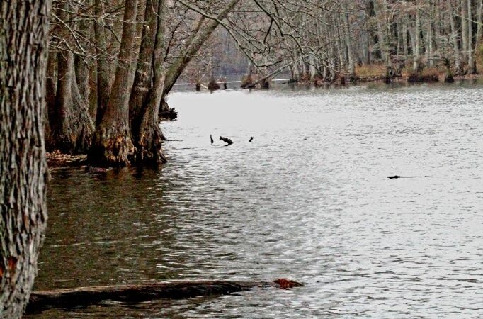 Mayflower Lakeside Park - Mayflower, AR