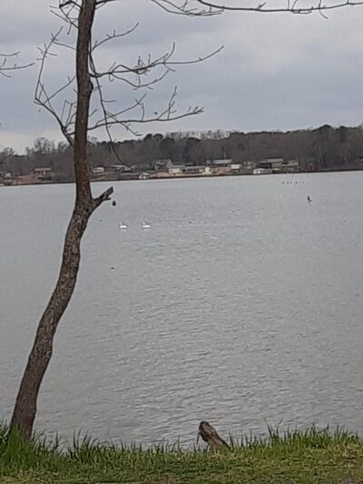 Mayflower Lakeside Park - Mayflower, AR