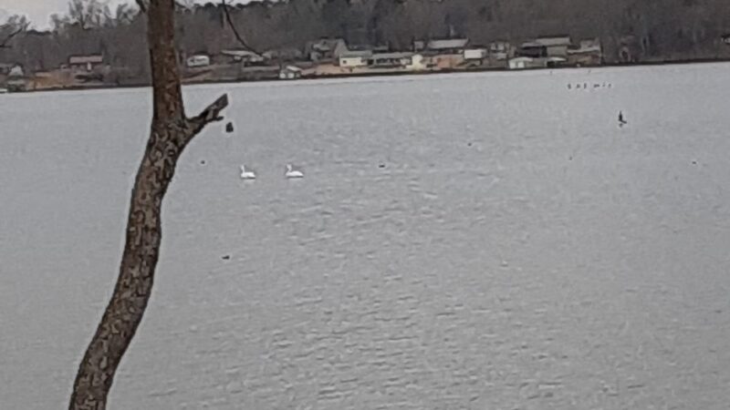 Mayflower Lakeside Park - Mayflower, AR