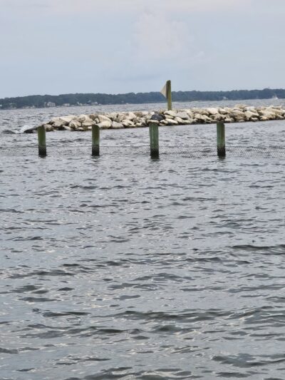 Beverly Beach Playground - Mayo, MD