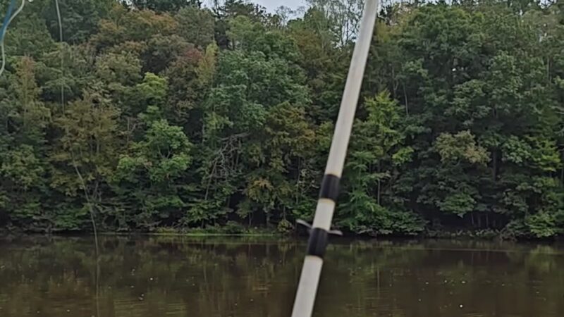 Farris Memorial Park - Mayodan, NC