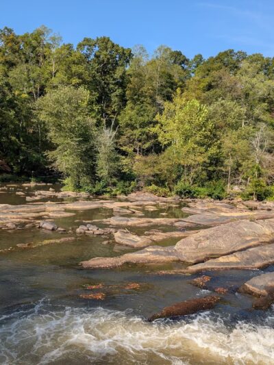Mayo River State Park - Mayodan, NC