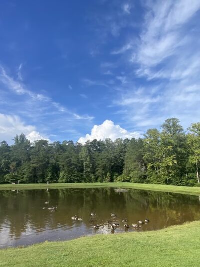 Mayo River State Park - Mayodan, NC