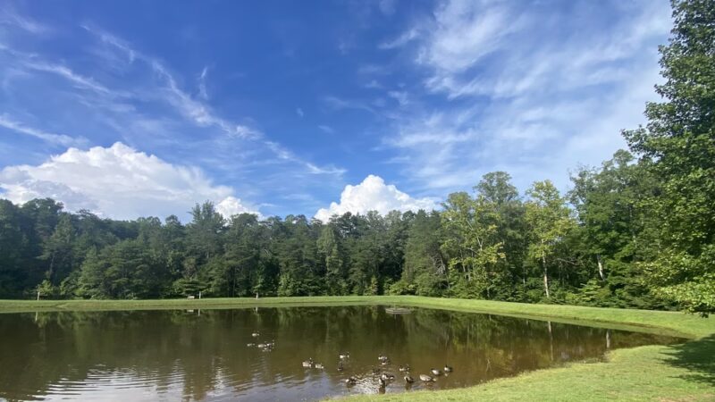 Mayo River State Park - Mayodan, NC