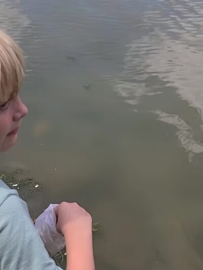 Maysville Park - Maysville, GA