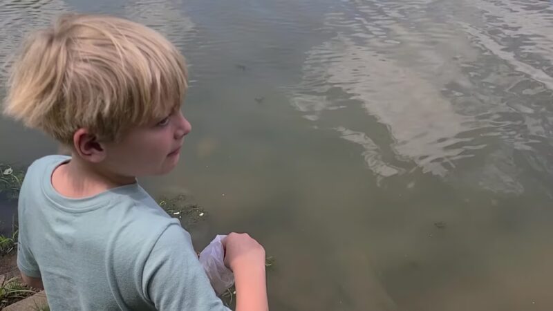 Maysville Park - Maysville, GA