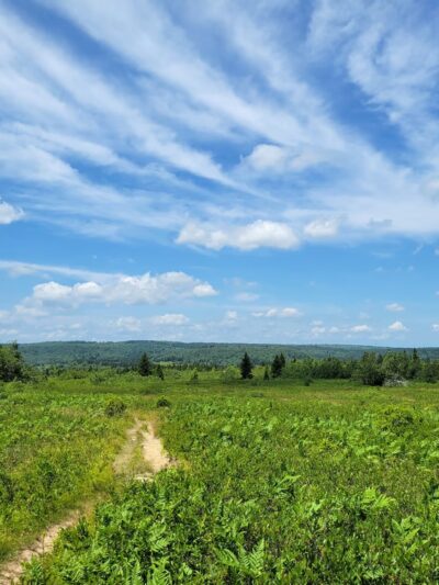 Beaver Dam Trail Trailhead - Maysville, WV