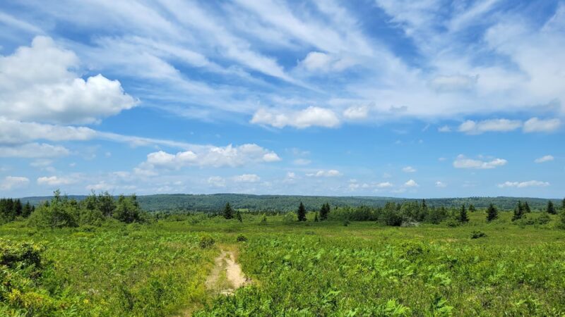 Beaver Dam Trail Trailhead - Maysville, WV