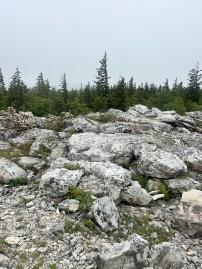 Beaver Dam Trail Trailhead - Maysville, WV