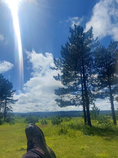 Beaver Dam Trail Trailhead - Maysville, WV