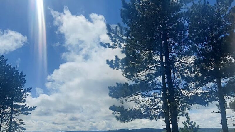 Beaver Dam Trail Trailhead - Maysville, WV