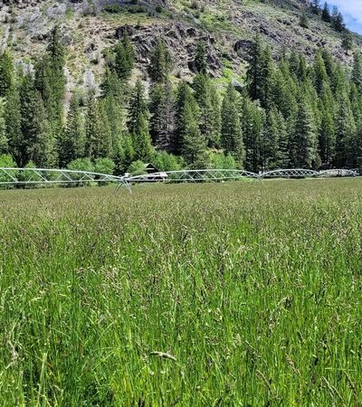 Mazama trail head - Mazama, WA