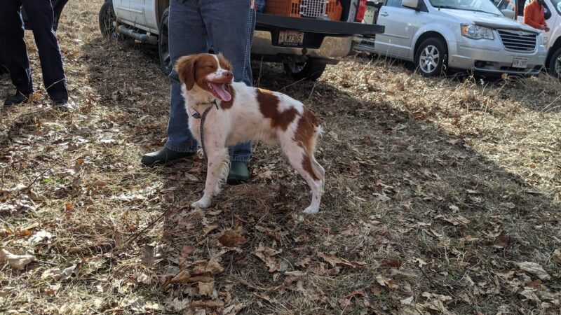 Mazomanie Unit, Dog training grounds - Mazomanie, WI