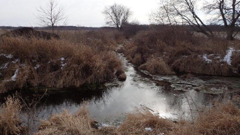 Mazomanie Unit, Dog training grounds - Mazomanie, WI