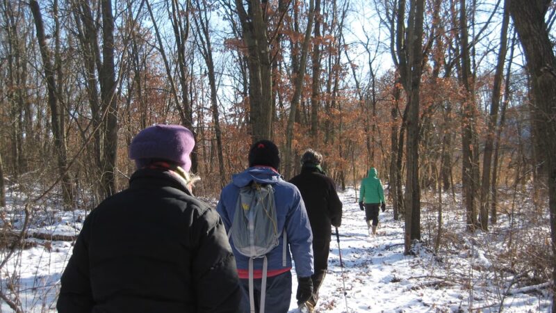 Mazomanie Unit, Dog training grounds - Mazomanie, WI