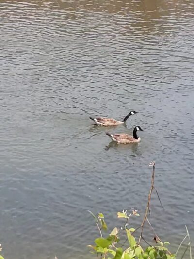 McCaysville City Park - McCaysville, GA