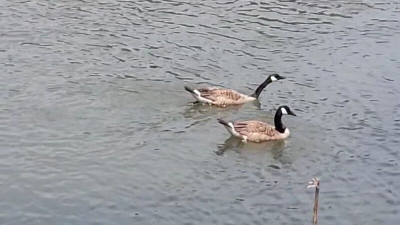 McCaysville City Park - McCaysville, GA