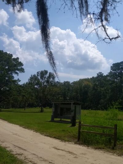 Santee Coastal Reserve - McClellanville, SC