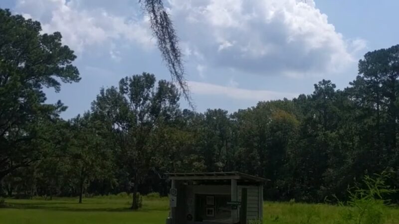 Santee Coastal Reserve - McClellanville, SC