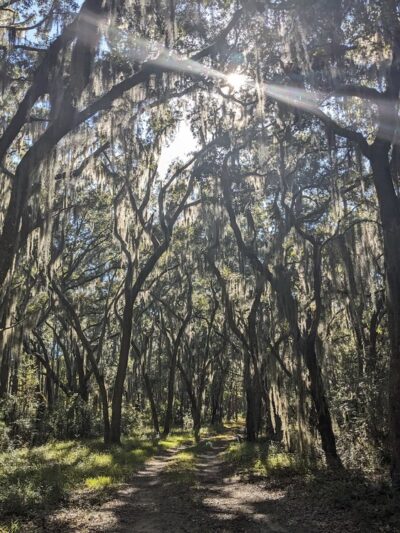 Santee Coastal Reserve - McClellanville, SC